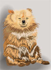 Sleepy dog with yellow, white and brown fur sitting on the floor