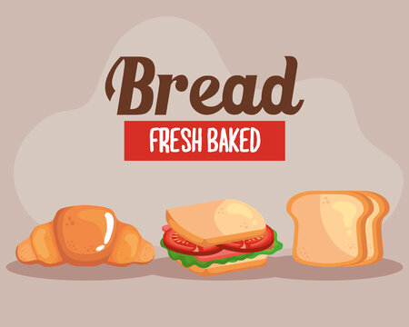 croissant sandwich and toat bread of bakery food shop and breakfast theme Vector illustration