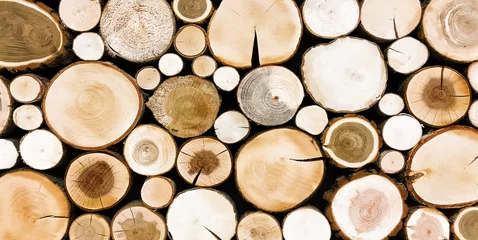 Möbelaufkleber round teak wood stump background. Trees cut section for background texture © sosiukin