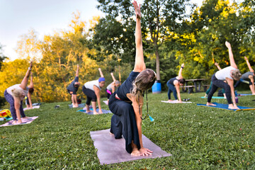A group of adults attending a yoga class outside in park
