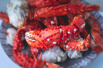 Kamchatka crab, frozen red king crab,  Alaskan king crab close up view, vibrant macro image in a local fish store