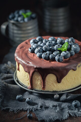 Tasty cheesecake with chocolate glaze and fresh blueberries