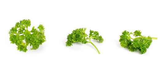 Fresh Parsley Herb Isolated on White Background.