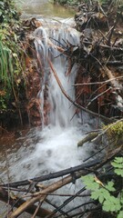 Wodospad na potoku