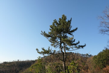 The autumn scenery of Jinju Park