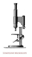 Compound microscope, invented in 17th century, presents several lenses with different magnification mounted on a turret providing the ability of zoom-in an object displaced on a specific support.