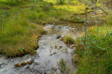 Bachlauf im Kreuther Tal, Oberbayern, Bayern, Deutschland, Europa