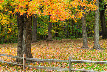 500-03 Ryerson Maple Fence