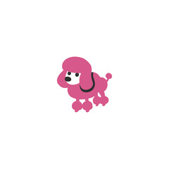 Poodle dog vector isolated icon illustration. Poodle dog icon