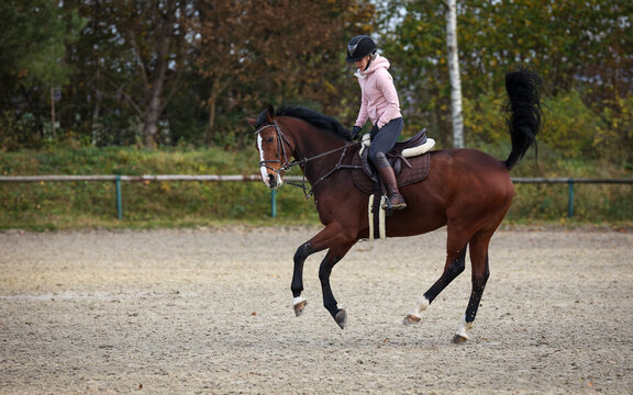 Horse With rider during training, here the change of canter, phase 8 photographed from the side..