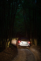 Obraz na płótnie Canvas suv car riding by trail road in forest