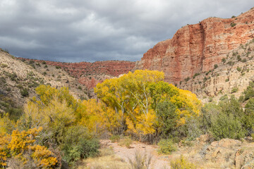 Scenic Autumn Landscape in the Verde River Canyon Arizona