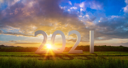 New year 2021 or start straight concept.3D word 2021 on the field in at sunset.Concept of planning...