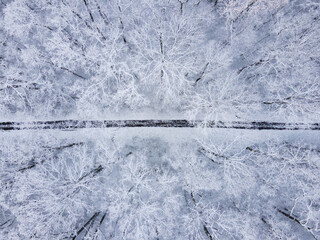 trail in winter forest from above