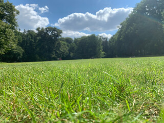green grass and blue sky fhuy1