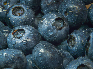 Blueberries with drops of water.