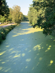 green canal in landscape fhuy1