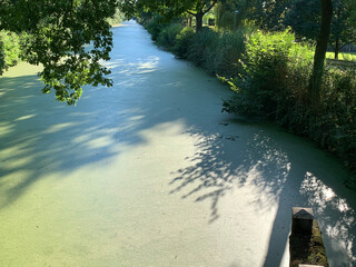 green canal in landscape fhuy1