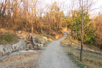 A park along the Jinju River