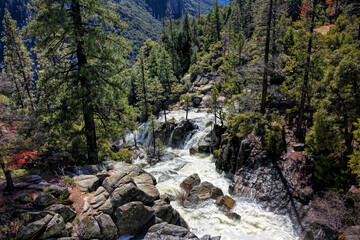 Overflowing Stream in Yosemite