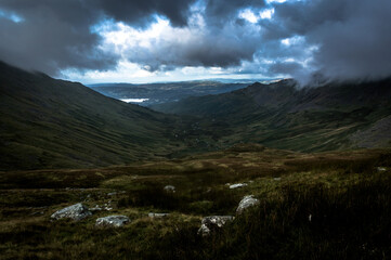 A highland cow scratches against a stone wall.