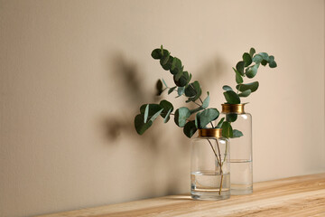 Beautiful eucalyptus branches in glass vases on wooden table against beige background. Space for...
