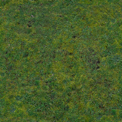 Green grass texture (bitmap material for exterior designers)