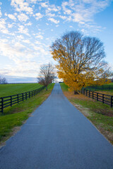 Fototapeta na wymiar Sunset autumn landscape at countryside. Road along horse farms.