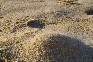 Sand falling on a beach during the sunset
