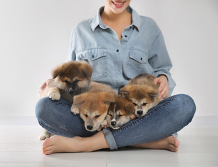 Woman with Akita Inu puppies sitting on floor near light wall, closeup