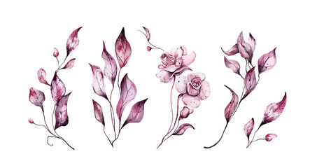 Set of pink watercolor leaves and roses.