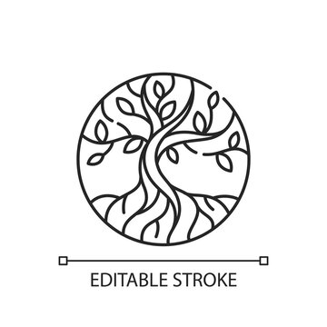 Life tree linear icon. Metaphor for Torah. Earth and heaven connection. Hebrew creation myth. Thin line customizable illustration. Contour symbol. Vector isolated outline drawing. Editable stroke