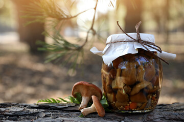 Fresh and pickled mushrooms in forest, closeup