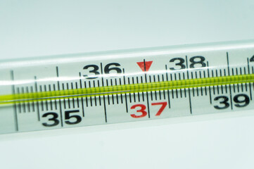 Mercury glass thermometer for measuring body temperature 36.6