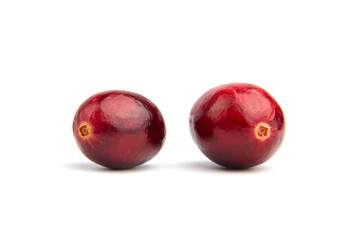 Fresh cranberries isolated on white background