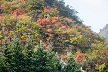 Amazing autumn landscape at Wudang Mountain.