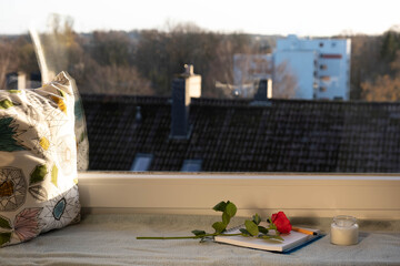A notebook and a rose lie on the windowsill