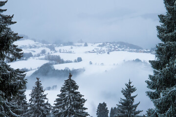Snow-covered mountain slopes, pine trees in the snow. In the clouds