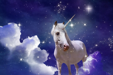 Magic unicorn in fantastic starry sky with fluffy clouds - obrazy, fototapety, plakaty