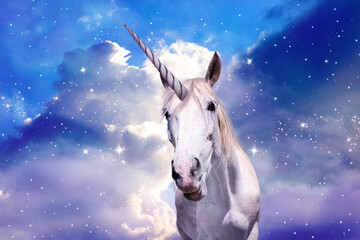 Magic unicorn in fantastic starry sky with fluffy clouds © New Africa