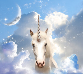Magic unicorn in fantastic sky with fluffy clouds and crescent © New Africa
