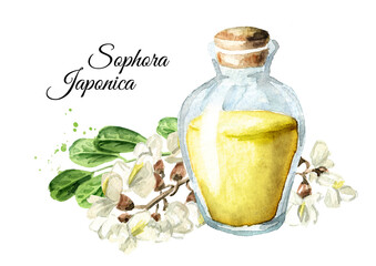Acacia or Sophora Japonica flower and bottle of tincture or essential oil. Hand drawn watercolor illustration, isolated on white background