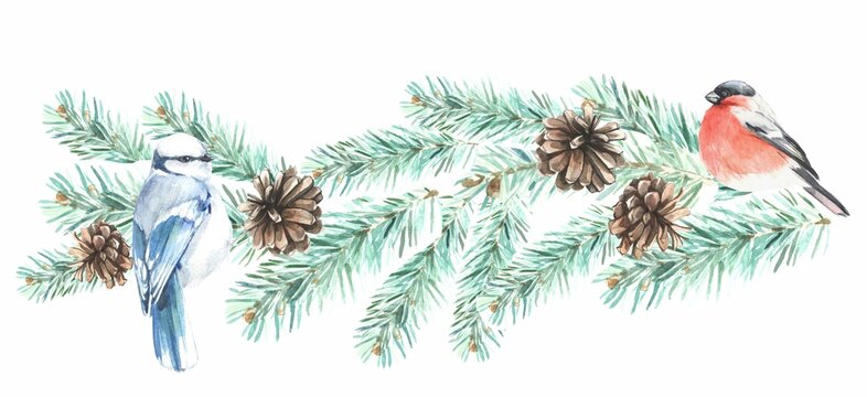 snow and tit branch