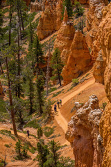 Panorama on Bryce National Park hoodos from the Rim trail between Sunrise and Inspiration point