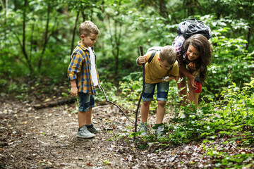 Mother and her little sons hiking trough forest .Boy using magnifying glass and looking at...