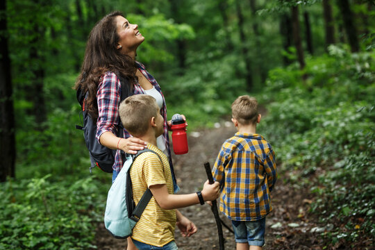 Mother and her little sons hiking trough forest .They learning about animal and plant life.	
