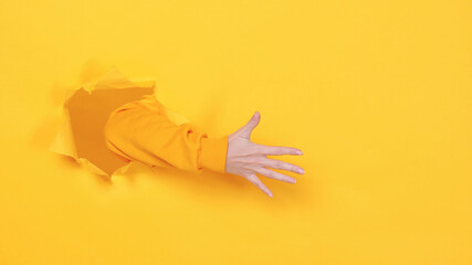 Fototapeta premium Woman hand arm showing five fingers ordinal count 5 greet gesture isolated through torn yellow background studio. Copy space advertisement place for text or image Advertising area workspace mock up.