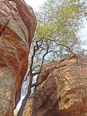 Rock Shelters of Bhimbetka ,UNESCO World Heritage site,bhopal,madhya pradesh,india