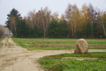 natura  © Magorzata