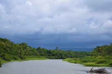 El río del Limón, Costa Rica lleno después de una tormenta en la provincia, navegando por los bordes 